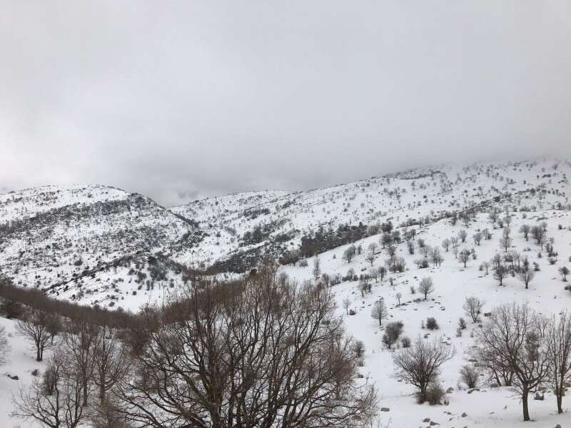 החרמון המושלג // צילום: אורן הלמן